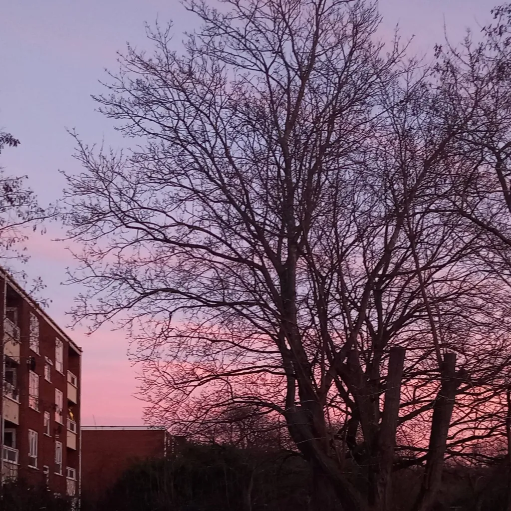 chat with ai character: Hello to my 5 subs