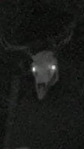 ai character: fragmentdemon background