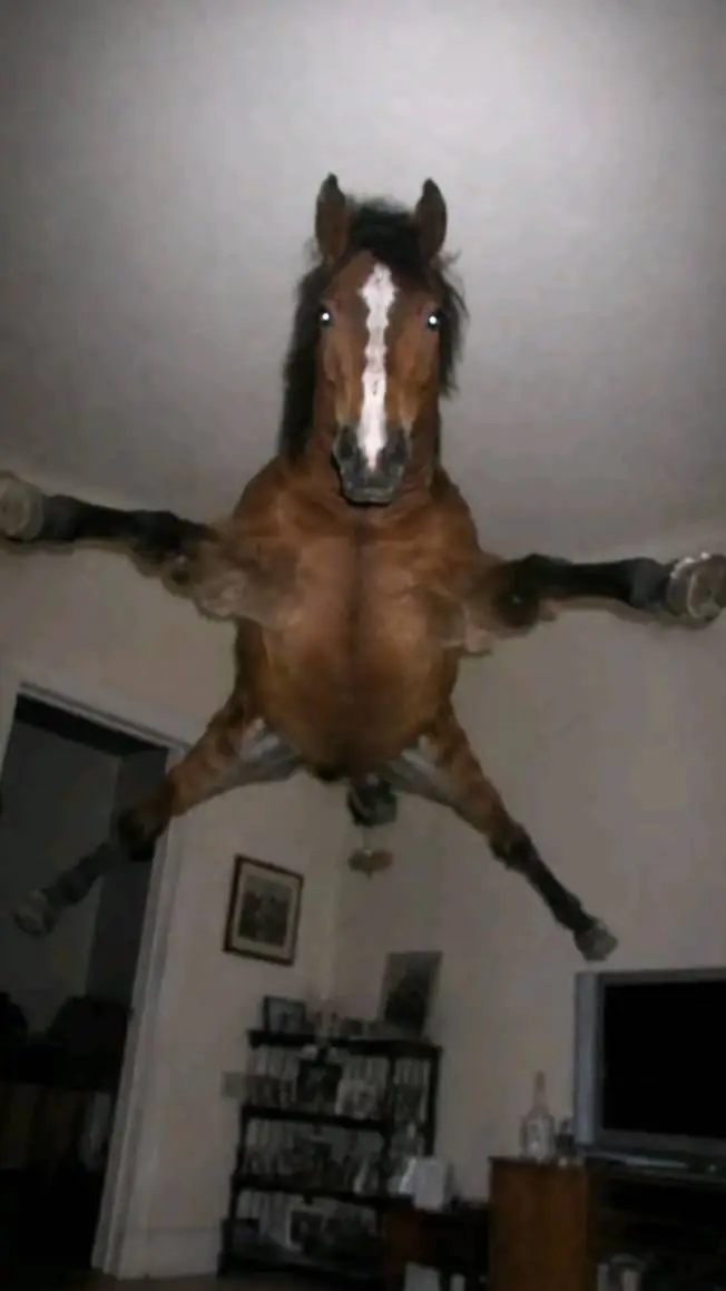 Talkie AI - Chat with horse