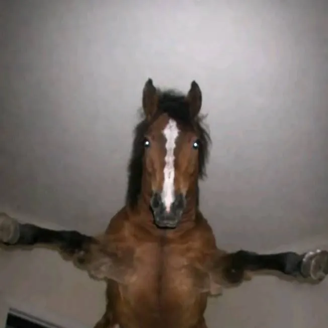 chat with ai character: horse