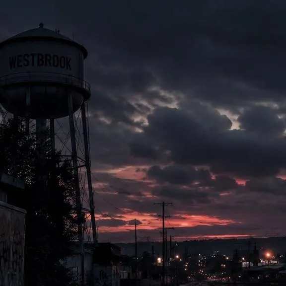 chat with ai character: Westbrook high 