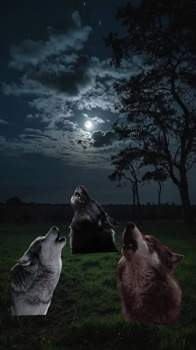 Talkie AI - Chat with Red wolf story 