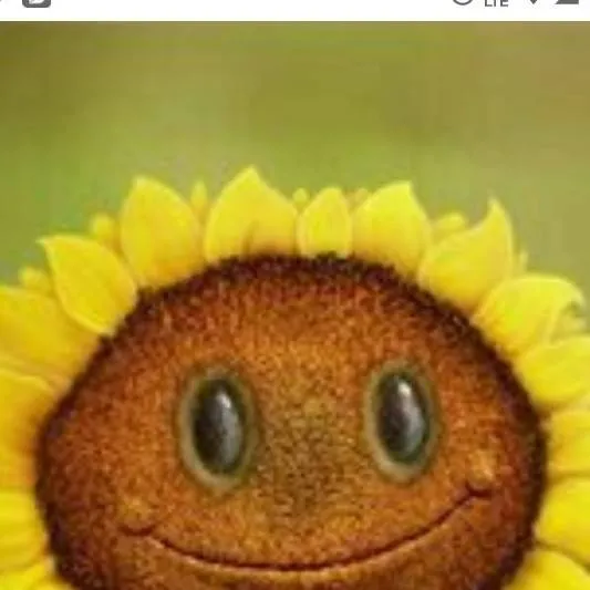 chat with ai character: girasol