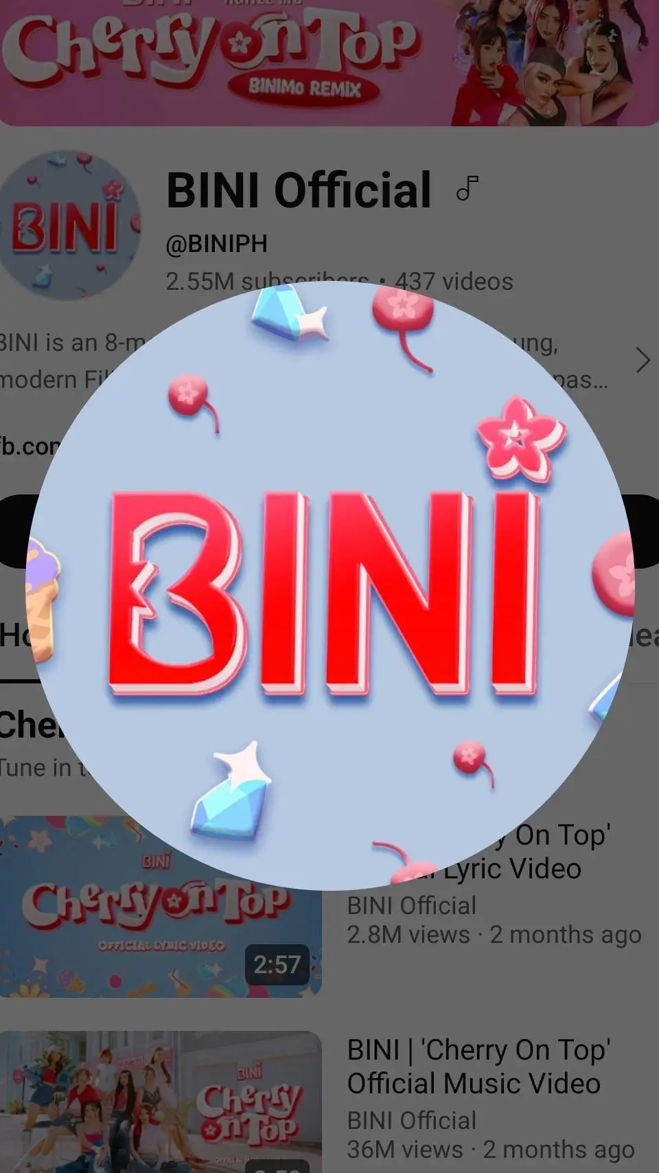 ai character: bini background