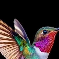 chat with ai character: lovebird