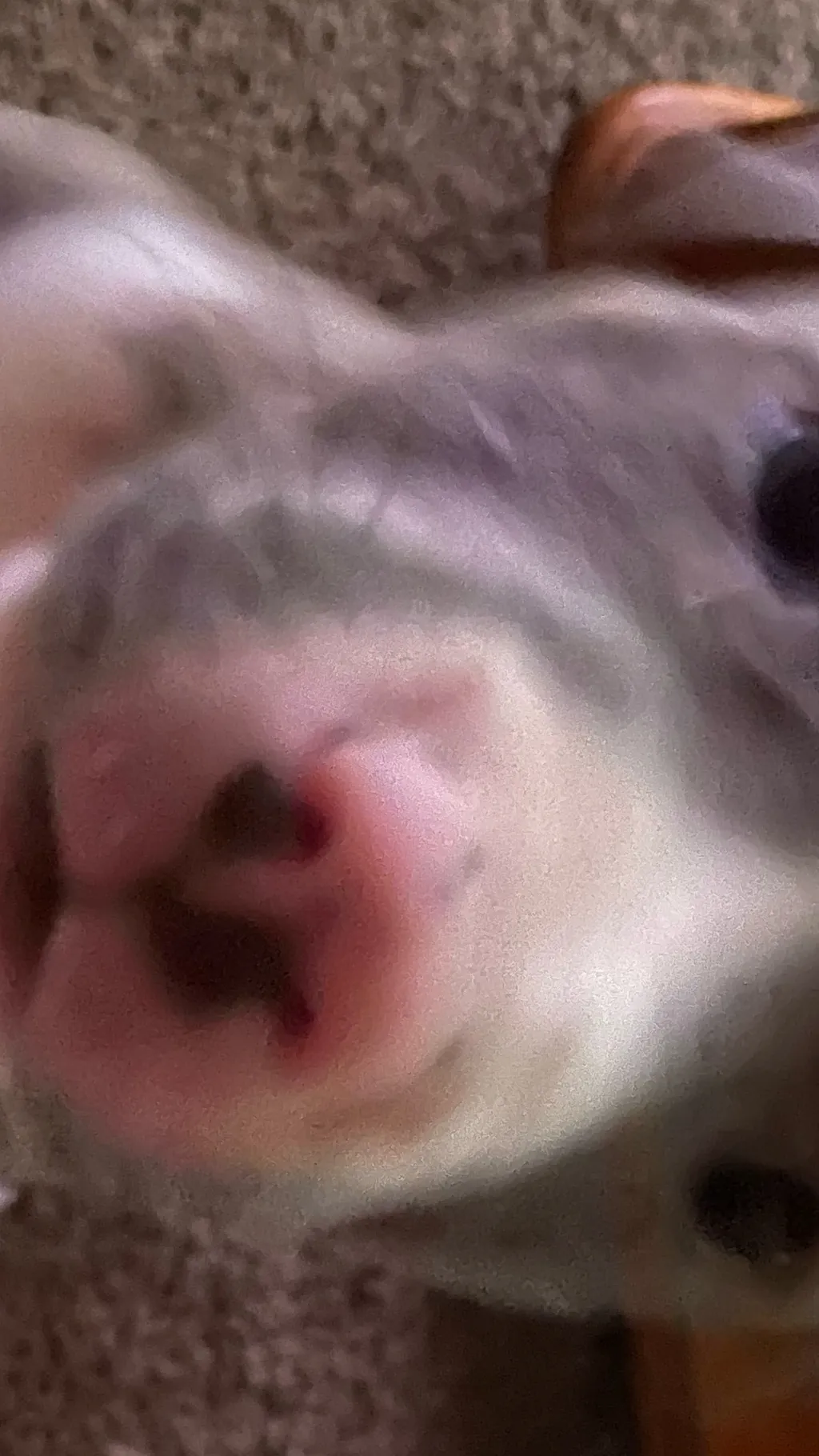 ai character: Risler ￼ background