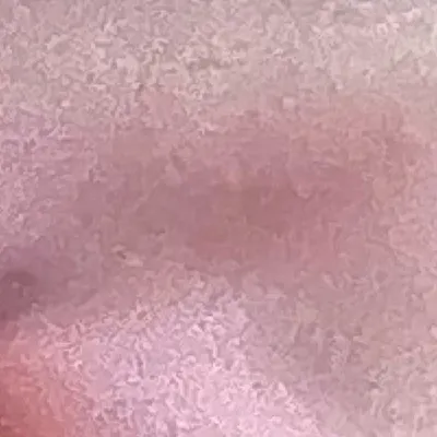 chat with ai character: Risler ￼