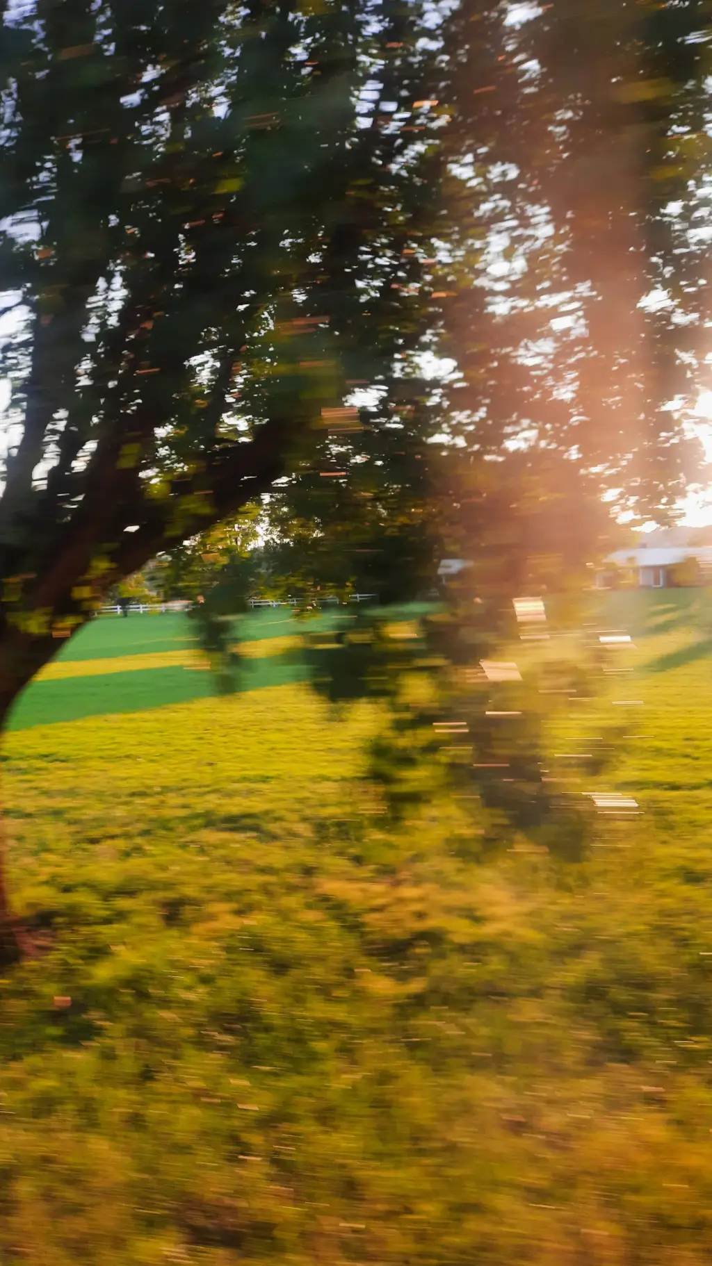 ai character: GtagLostTapes background