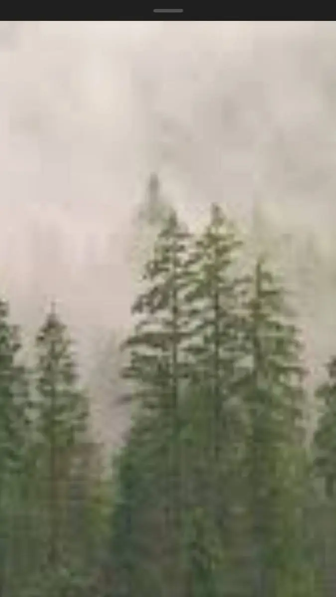 ai character: videojuego background