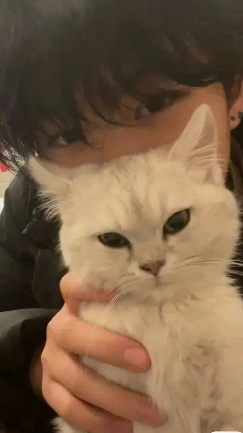 ai character: Killian background