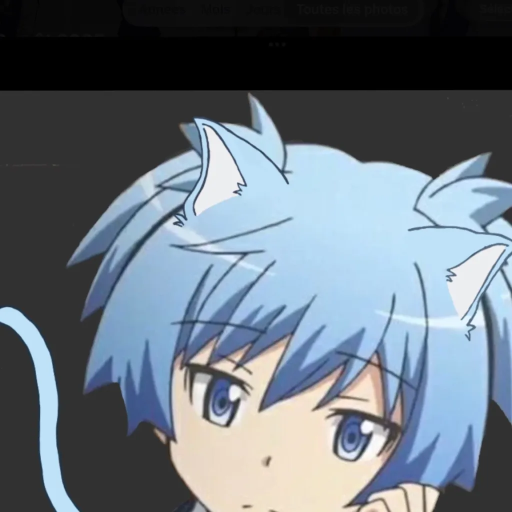 chat with ai character: Nagisa cat