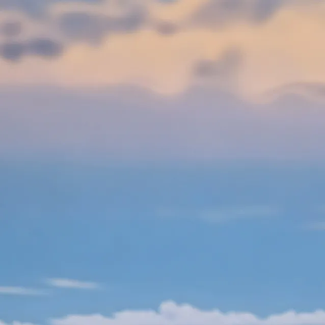 chat with ai character: Spirit airline