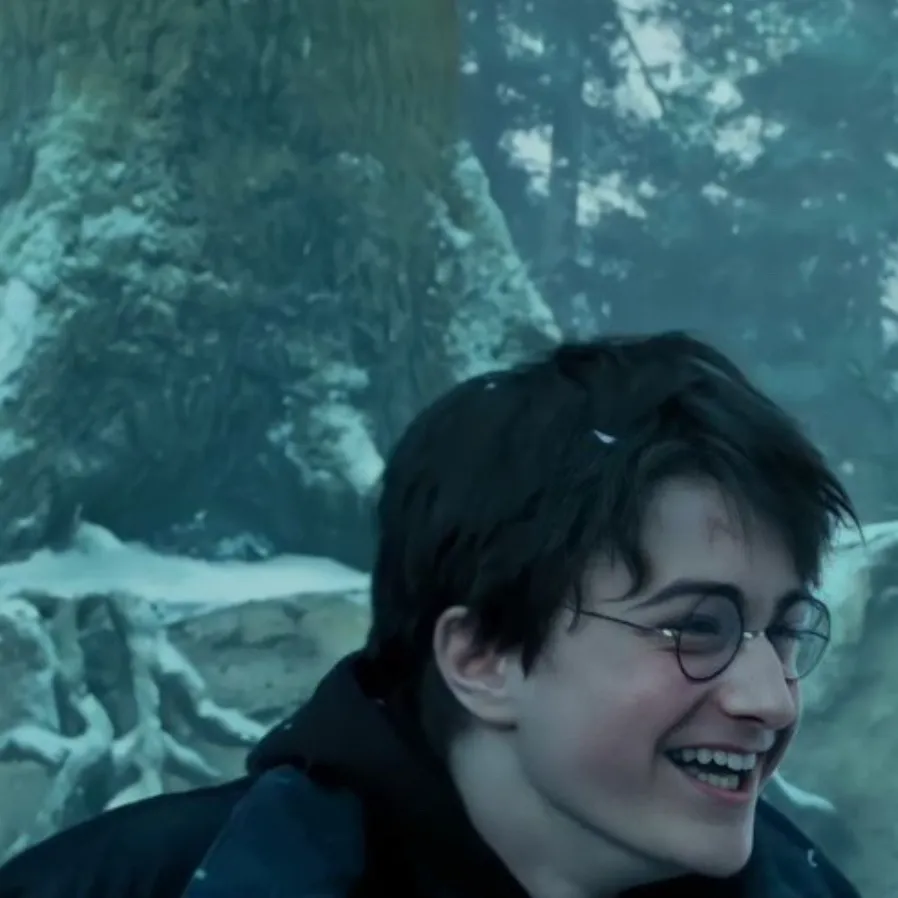 chat with ai character: Harry Potter 