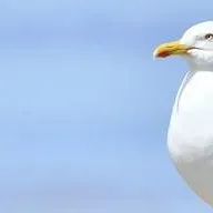 chat with ai character: TalkieKwdyjd