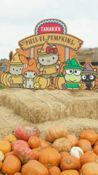 ai character: pumpkin 🎃! background