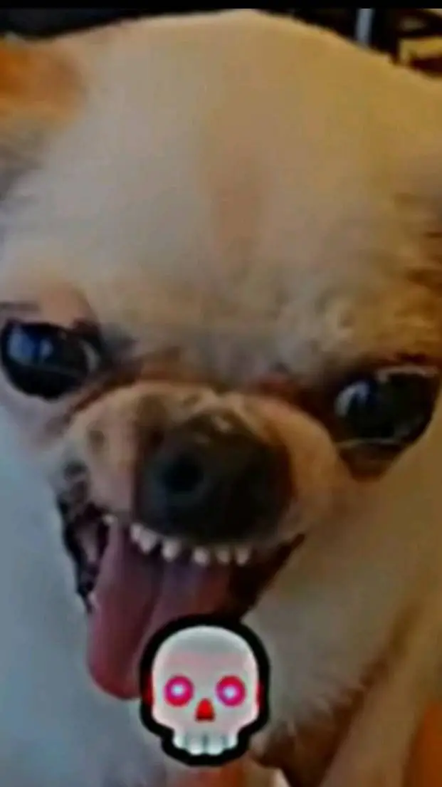 ai character: pico background