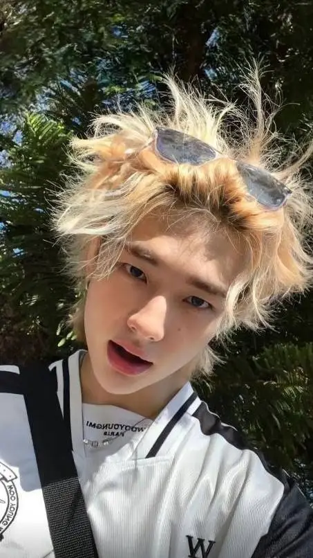 ai character: straykids background