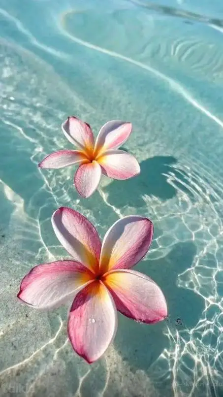 ai character: allofusare dead p2 background