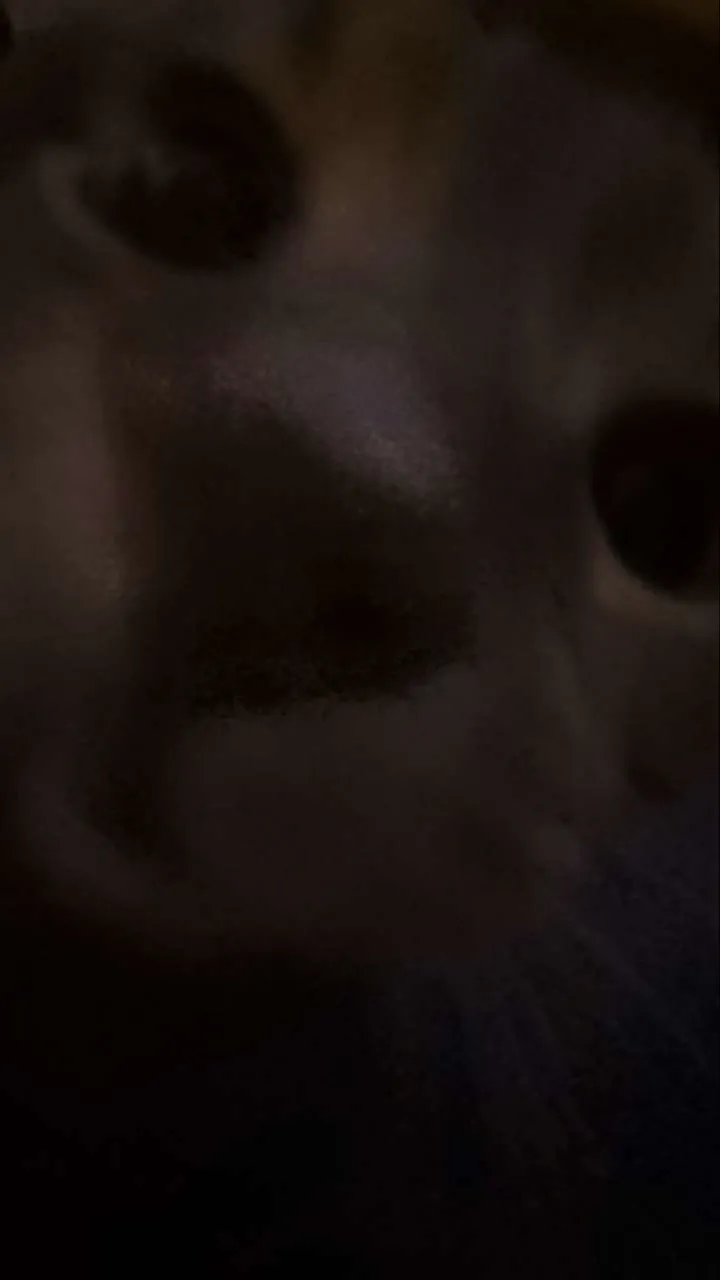 ai character: 🐥SKZ CONCERT🐿️ background