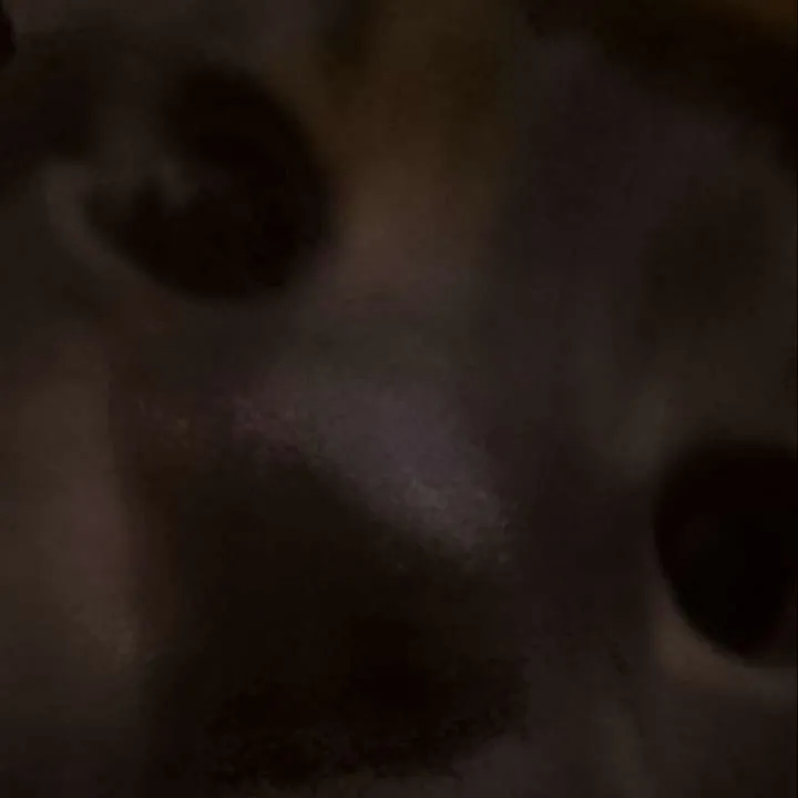 chat with ai character: 🐥SKZ CONCERT🐿️