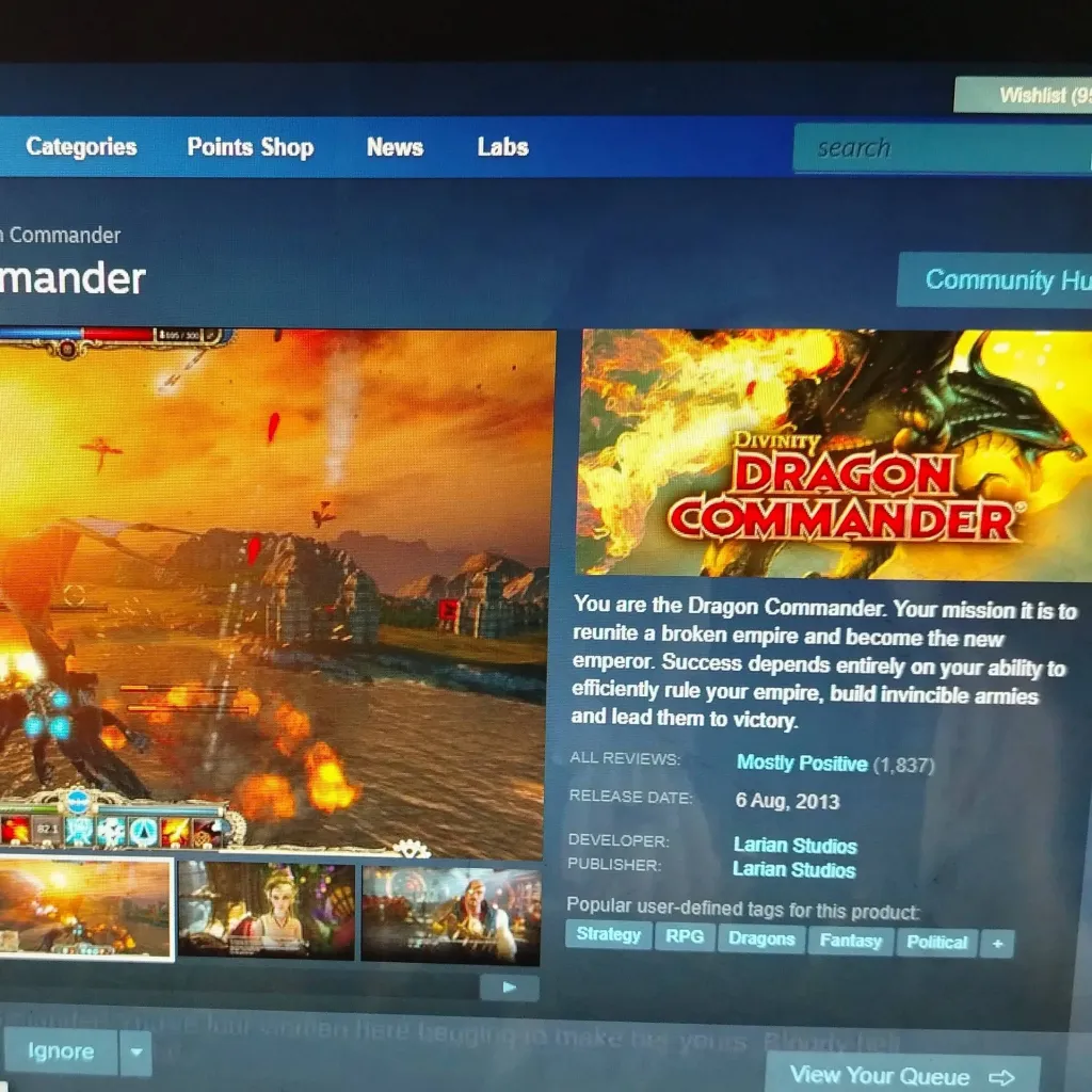 chat with ai character: Dragon Commander