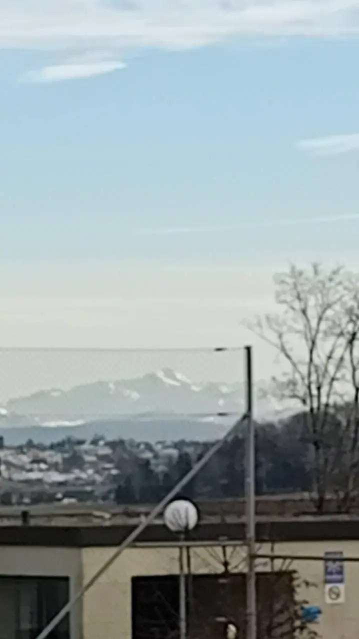 ai character: pomni  background