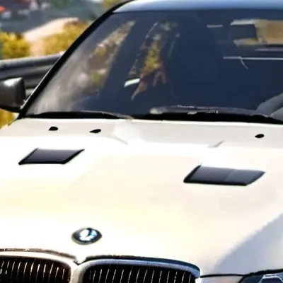 chat with ai character: Family road trip!!