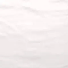 chat with ai character: Story Faction war