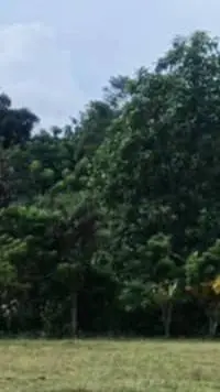 ai character: LOGO FIGHT background