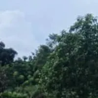 chat with ai character: LOGO FIGHT