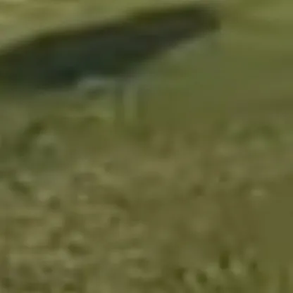 chat with ai character: In trouble