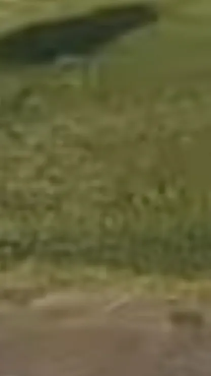 ai character: In trouble background