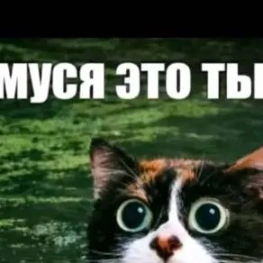 chat with ai character: tu amigo 