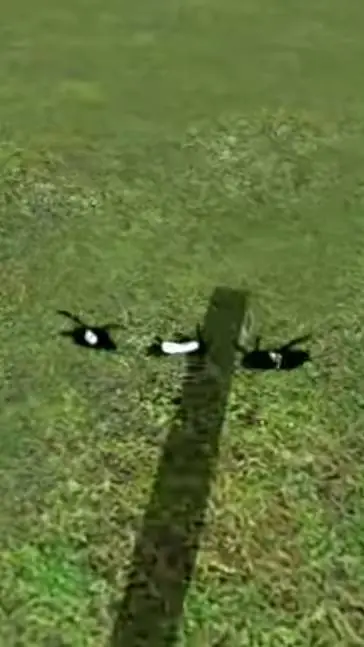 ai character: Backrooms Roamers3 background