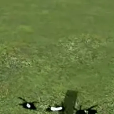 chat with ai character: Backrooms Roamers3