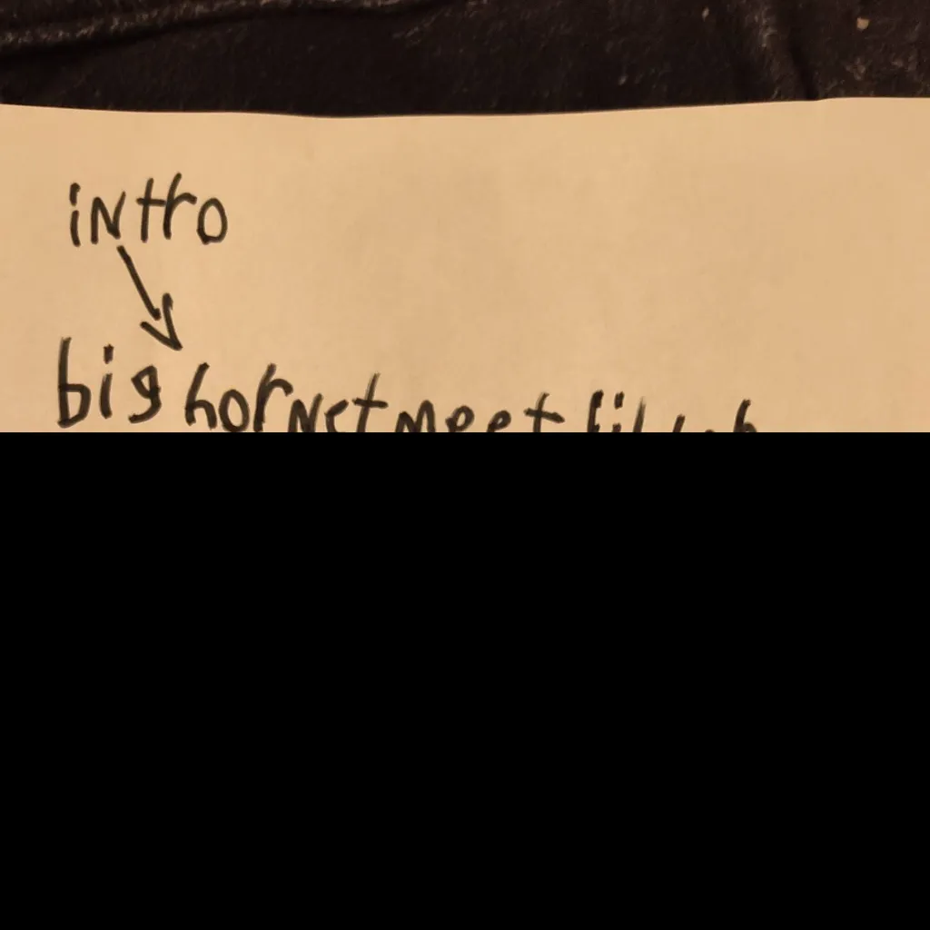 chat with ai character: hornet&mini hornet