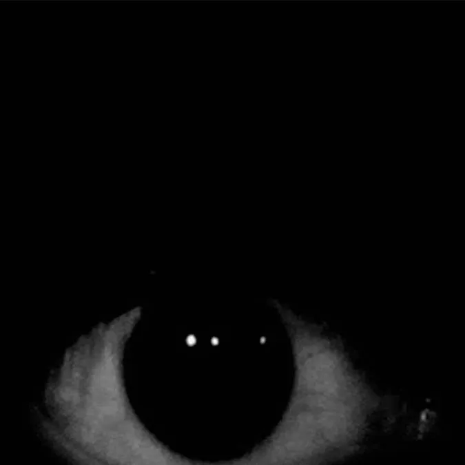 chat with ai character: ㅤ