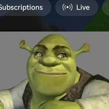 chat with ai character: Shrek🤫🧏