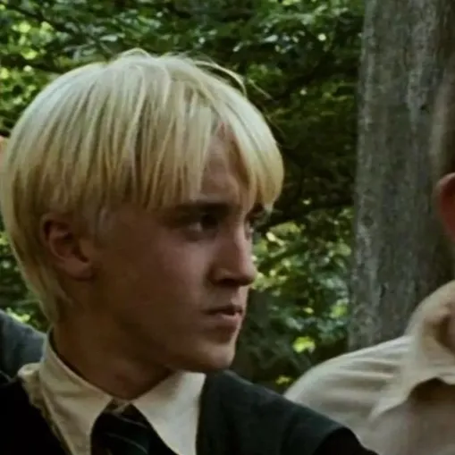 chat with ai character: Draco 