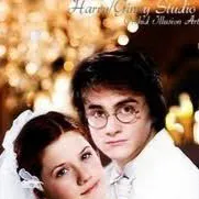 chat with ai character: Harry cheating ?