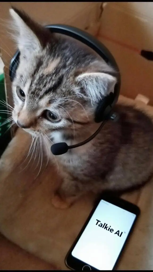 ai character: Kitty service  background