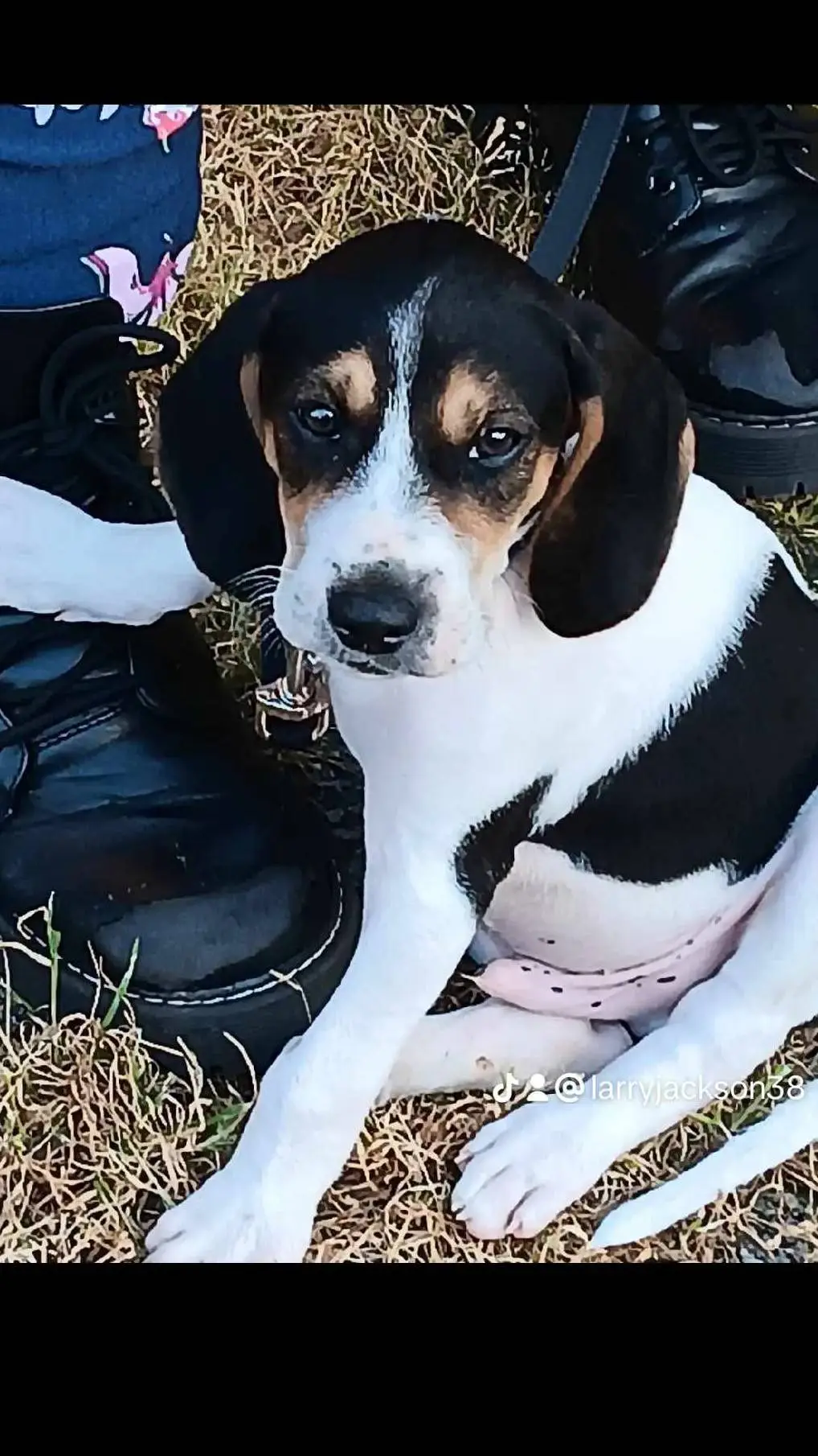 ai character: max background