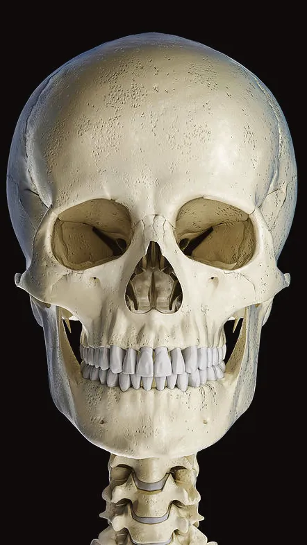 ai character: Skull background