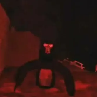 chat with ai character: Jimmy