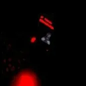 chat with ai character: Run Rabbit