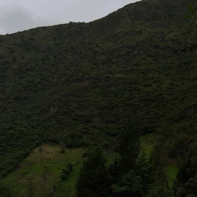 chat with ai character: No Im not a humen 