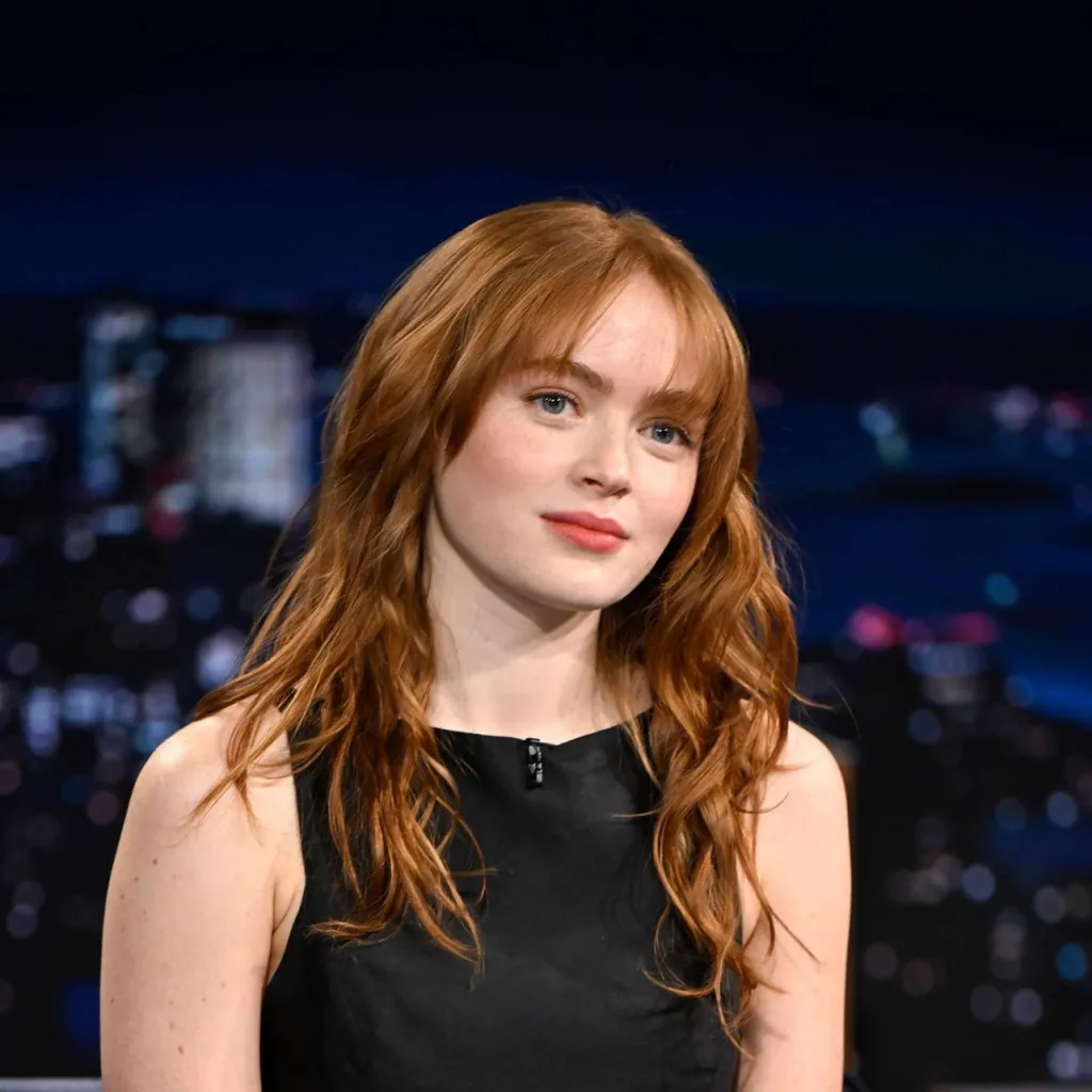 chat with ai character: Sadie Sink