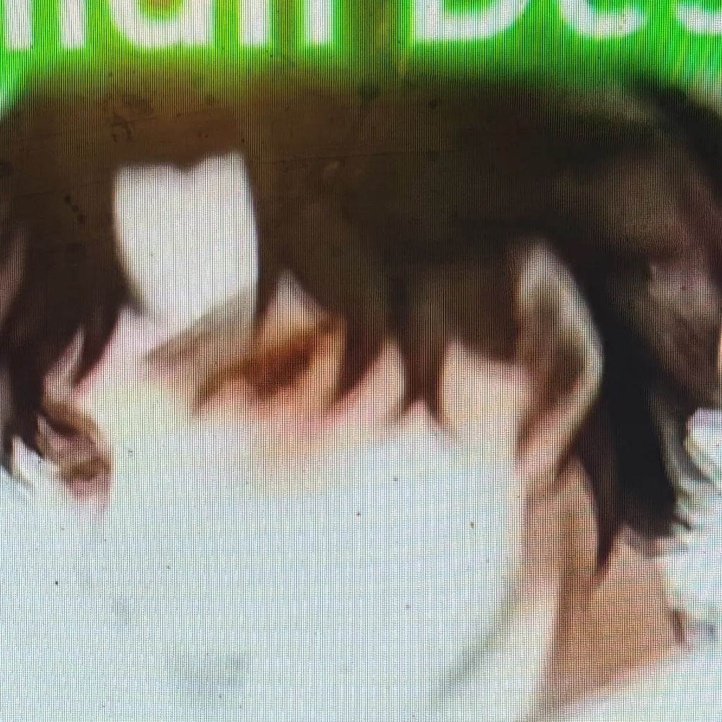 chat with ai character: Damian
