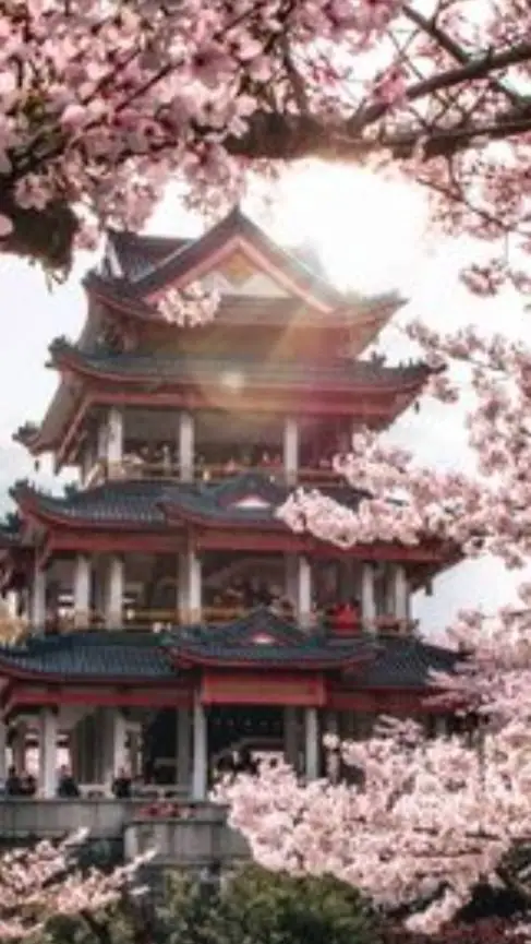ai character: china [prt 10🌺] background