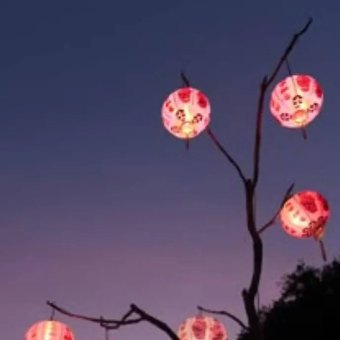 chat with ai character: china [ prt 24 💮]